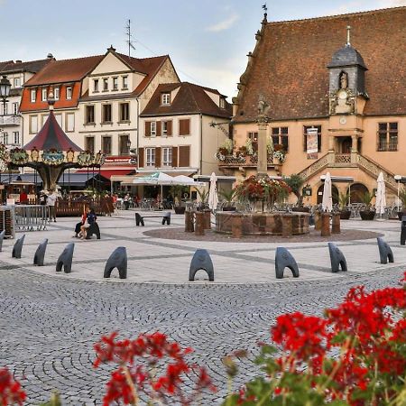Studio Cosy A Molsheim Calme, Centre-Ville Et Acces Strasbourg Экстерьер фото