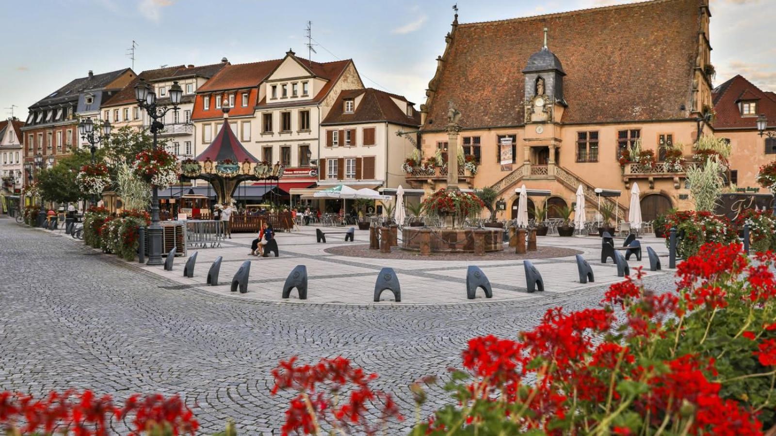 Studio Cosy A Molsheim Calme, Centre-Ville Et Acces Strasbourg Экстерьер фото